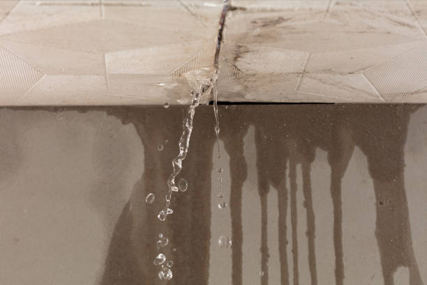 Professional Structural Drying technician working in Summerfield, OH